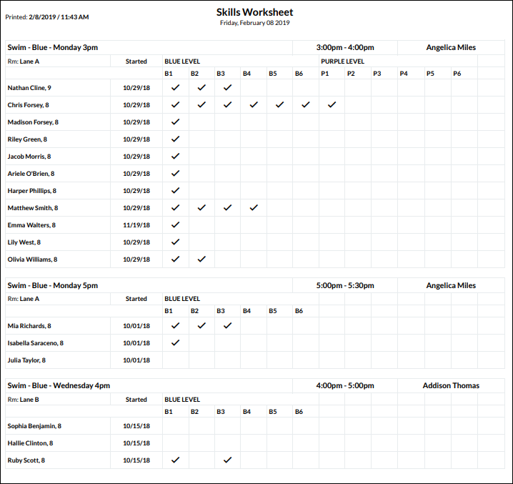 Updated Skills worksheet screenshot from Jackrabbit Care software