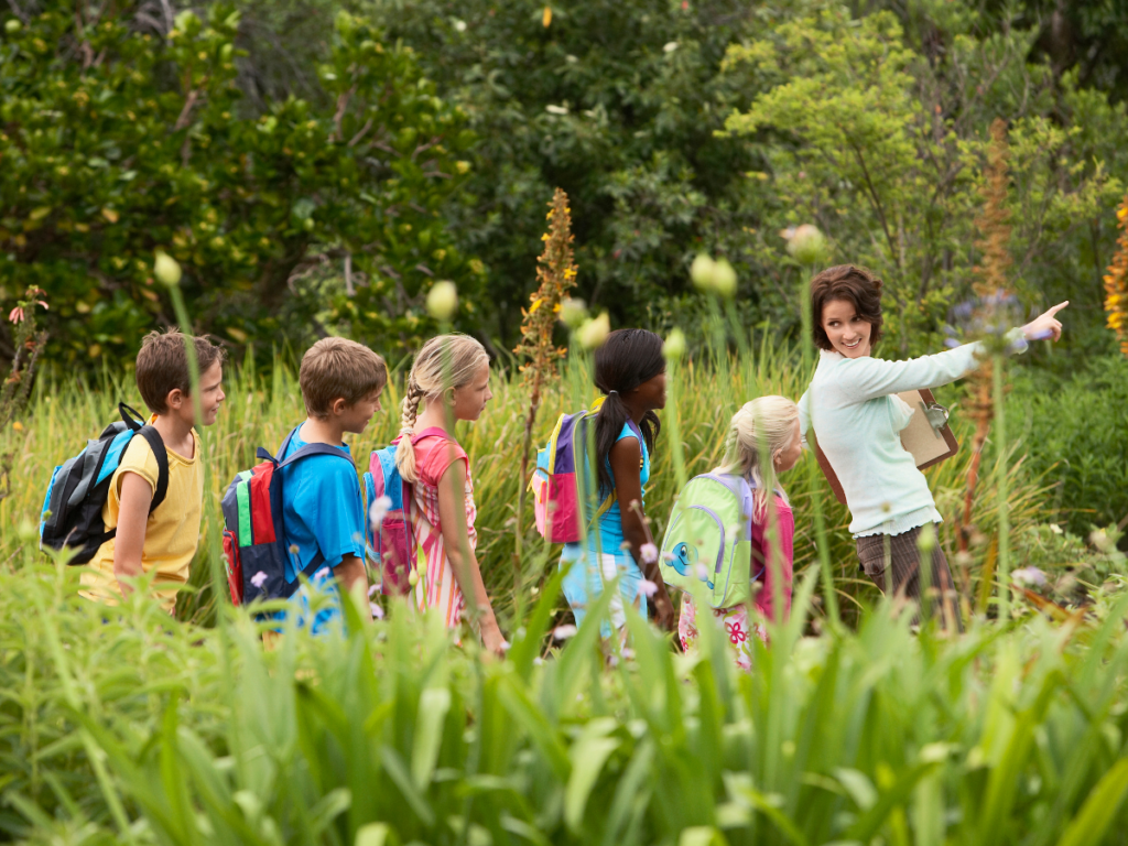 A teacher leads a group of students on a field trip in nature.